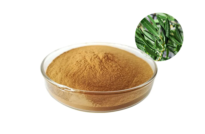 Pure Olive Leaf Extract